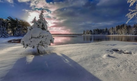 Winter lake - ice, lake, sky, winter, serenity, reflection, cold, frost, mirror, snow, beautiful, clouds, tree