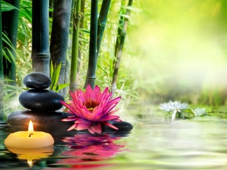 Spa still life - candle, orchid, wet, still life, reflection, pretty, leaves, spa, flowers, stones, bamboo, relax, concept