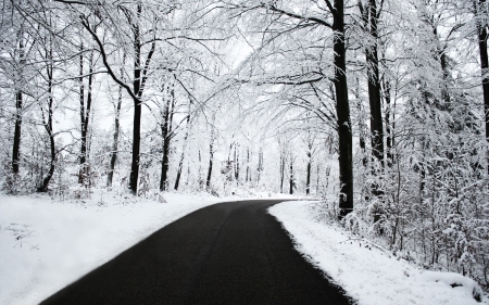 Winter Road - winter, nature, amazing, road