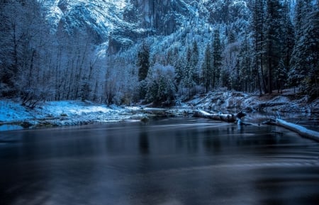 Winter Evening - forest, trees, snow, river, water