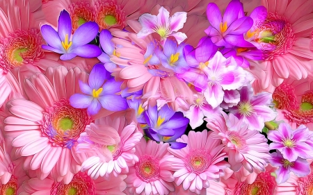 Flowers - flower, purple, pictura, pink, spring, painting, crocus, art