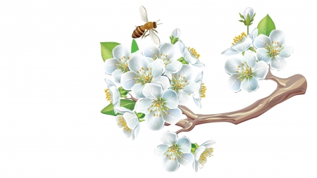 Spring - white, bee, branch, card, blossom, green, flower, spring