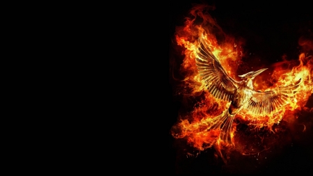 The Hunger Games: Mockingjay - Part 2 (2015) - black, bird, yellow, mockingjay, fire, fantasy, poster, movie, orange, the hunger games