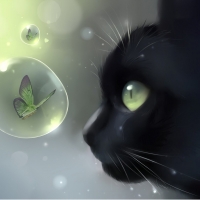 Black Cat Green Butterfly Bubble