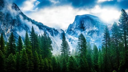 Fog Over Mountains - forest, mountains, fog, trees, nature