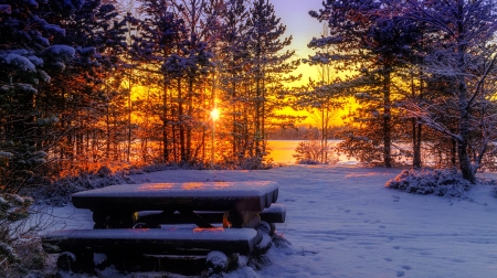 Winter sun - trees, winter, beautiful, snow, landscape, sunrise, rest, glow, sunset, bench, sun