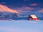 Scandinavian Winter