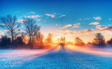 Glorious Sunset - sky, landscape, trees, sun, snow