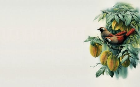 Birds and fruits - white, minimalism, bird, fruit, yellow, art, green