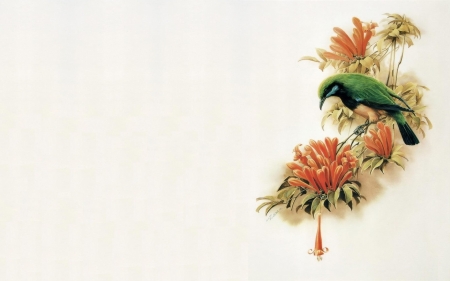 Bird and flowers - white, red, minimalism, bird, art, green