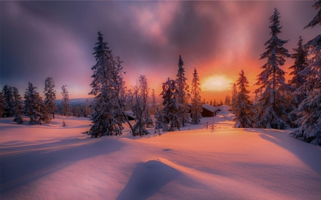 Winter Sunset - forest, clouds, cottage, trees, sunset, nature, snow