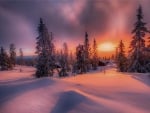 Winter Sunset