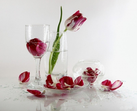 Still Life - glass, petals, flowers, still life, vase