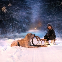 Not a Sleighdog ?