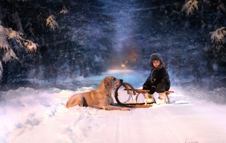 Not a Sleighdog ? - forest, sleigh, snow, winter, child