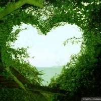 Love in Nature