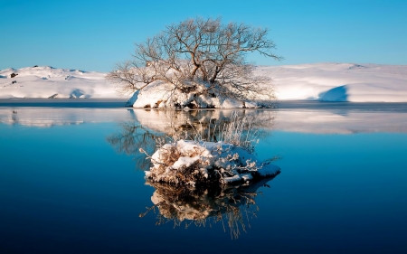 Winter Lake - trees, winter, nature, snow, lake