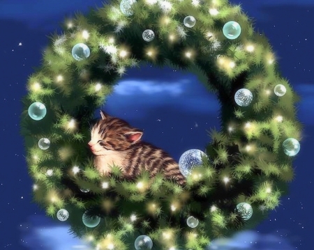 Dream of Kitten - xmas and new year, dreams, cat, winter, bubbles, kitten, christmas, wreathes, love four seasons, holidays, snow