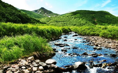 River - river, nature, amazing, beautiful, green