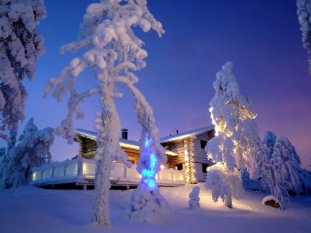 Winter Sculptures - house, trees, evening, snow, light