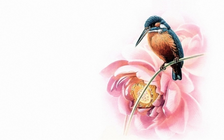 Kingfisher - bird, white, kingfisher, flower, art, pink