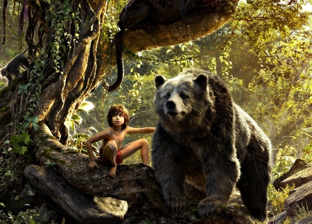 The Jungle Book (2016) - movie, bear, book, fantasy, the, boy, jungle, mowgli, animal, baloo