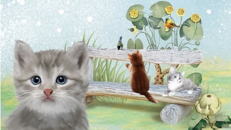 Kittens on a Bench - kittens, park, feline, summer, bench, spring, kitties, cats, birds