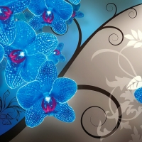 Orchids background