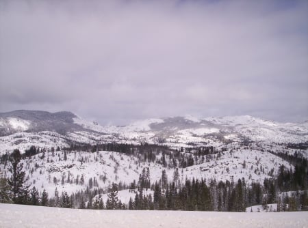 Baseseachic Falls NP, Mexico, in Winter - hills, trees, snow, landscape