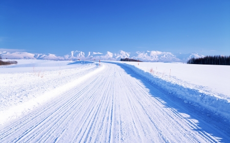 Winter Road - road, winter, nature, amazing