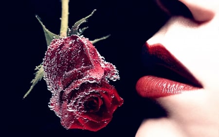 Frozen red - black, lips, frozen, woman, red, rose, flower, lipstick