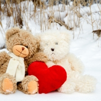 Teddy Love