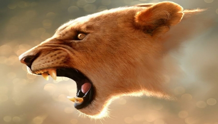 the roar - mouth, head, roar, fangs, lion