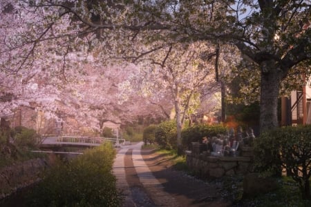 â™¥ - path, trees, pink, abstract