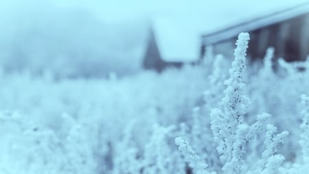 Faded - house, snow, winter, nature