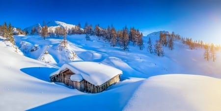 Snowy mountain hut - hut, cottage, slope, trees, landscape, mountain, winter, beautiful, snow, cabin