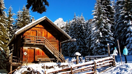 Canadian Mountain Cabin - house, snow, firs, fence