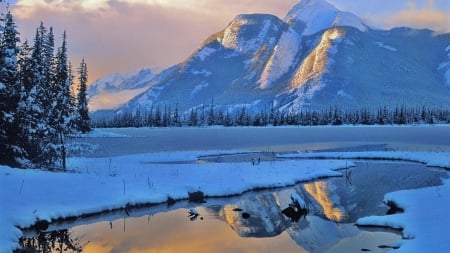 Canadian Winter - mountains, river, trees, ice, snow