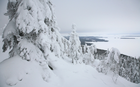 Winter - winter, nature, amazing, beautiful