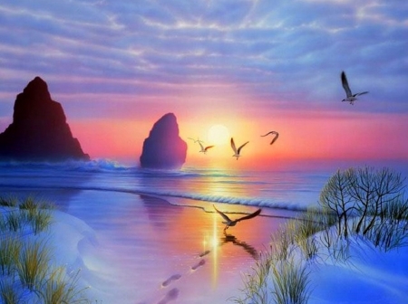 Radiant Seashore - xmas and new year, attractions in dreams, sky, sunshine, winter, flying birds, love four seasons, holidays, seashore, snow