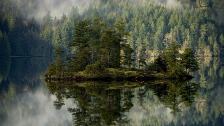 gorgeous island reflected in a forest lake - lake, forest, rocks, reflections, island, fog