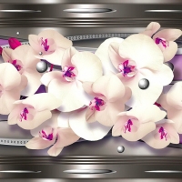 Orchids background