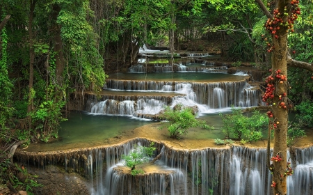 Paradise - trees, water, waterfall, amazing