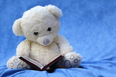 Teddy bear - white, blue, book, valentine, cute, teddy bear, toy