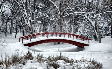 Park Bridge in Winter - forest, river, trees, snow, season