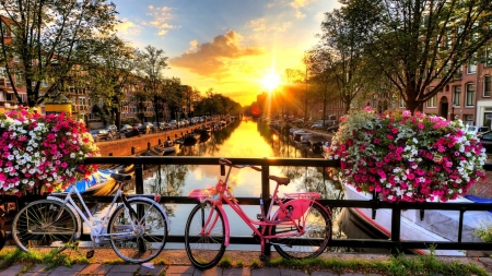 â™¥ - flowers, sunset, amsterdam, bicycles