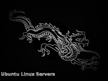 Black Chrome Dragon Ubuntu Servers - chrome, servers, dragon, ubuntu, black