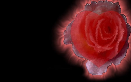 Red rose - roses, 3d