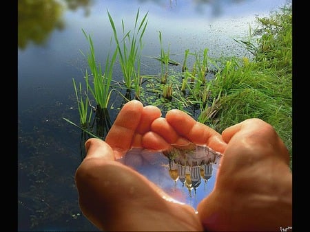 	Mirror - water, nature