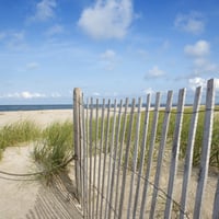 Sand Dunes